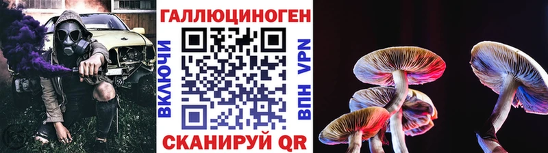 Купить  Кириши  Псилоцибиновые грибы ЛСД 